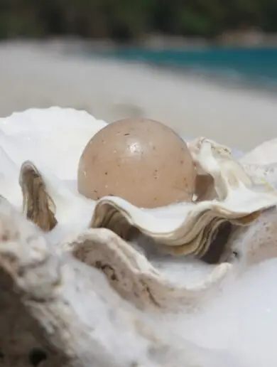 Natural Pearl Soap