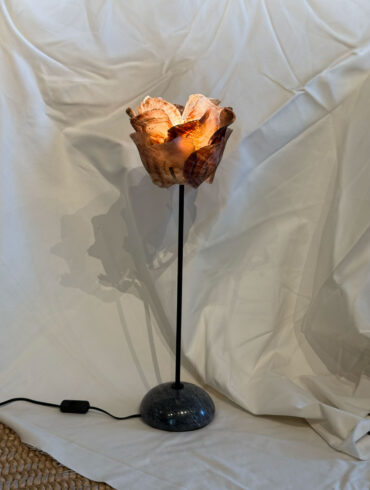 Baliad Shell Lamp
